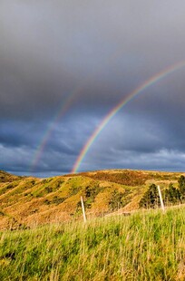 草原上空绚丽的彩虹