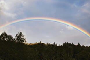 森林上空的绚丽彩虹