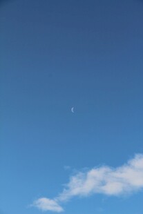 蓝天中的白云与飞鸟