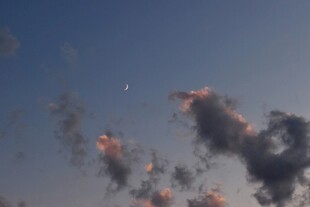 天空中绽放的绚烂烟火