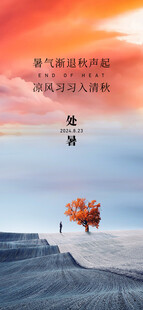 海边落日下的孤独树木处暑节气