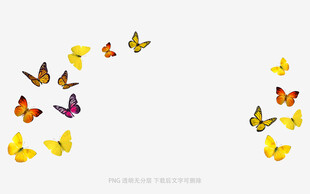 群蝶飞舞图