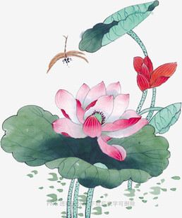 水墨荷花蜻蜓图