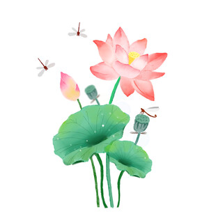 水墨荷花蜻蜓图