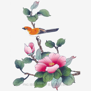 花鸟