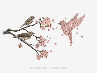 枝头双鸟伴繁花