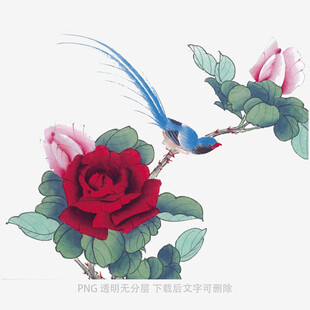 花鸟