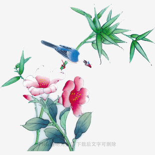 花鸟