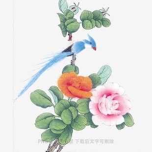 花鸟