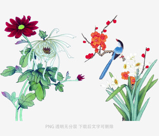 手绘花卉与小鸟插画