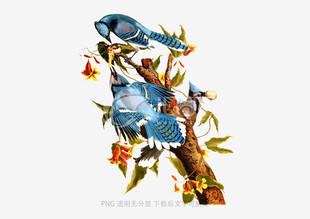 枝头蓝鸟图