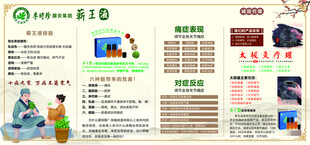 李时珍蕲王液
