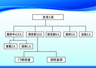 公司组织架构图展示