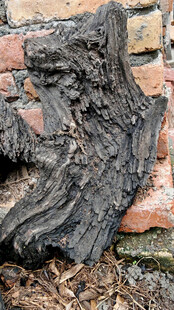 砖墙上的奇特木雕造型