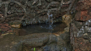 石间小水潭水花景观