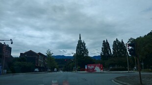阴天城市街道与树木景观