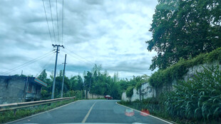 乡村公路风景