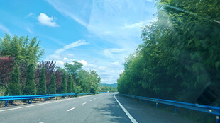 公路旁绿树蓝天风景美