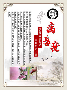 病毒疣