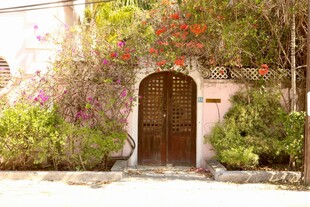 浪漫庭院中的古朴木门