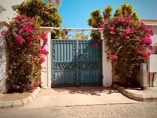 繁花簇拥的铁艺大门