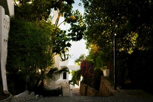 小巷中的静谧光影