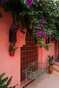 粉色墙边的绿植长椅景致