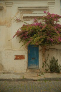 蓝门旁绽放的绚烂花枝