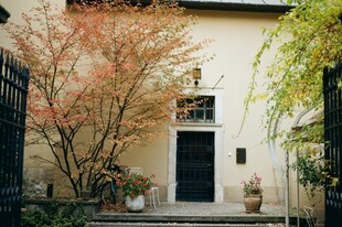 庭院雅致入口景观