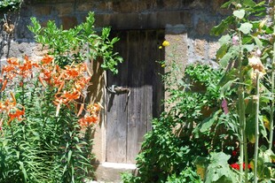 古朴院门被繁花绿植环绕