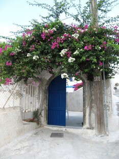 蓝门花墙下的梦幻景致