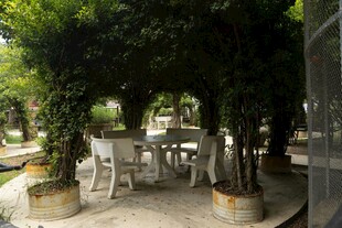 户外绿植环绕的休闲桌椅