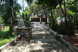 宁静庭院中的休闲小道