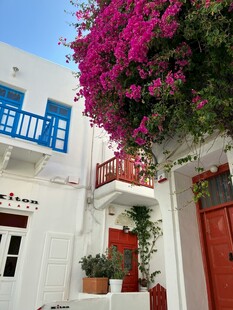 希腊风情白色建筑与繁花