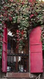 粉色门窗旁的繁茂花卉