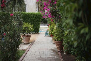 繁花簇拥的幽静花园小径