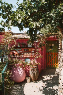 乡村小院的多彩景致