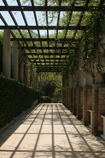 绿荫藤蔓下的幽静长廊