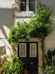 绿植环绕的古朴庭院门