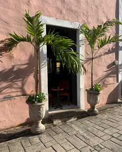 粉色建筑前的绿植盆栽