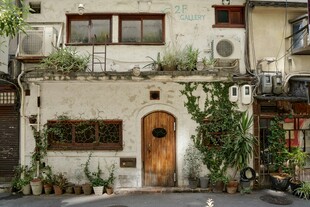 复古绿植环绕的温馨小屋