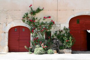 庭院中的绿植与红门景观