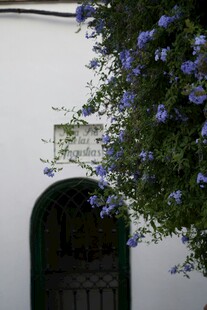 白色墙前紫色花与拱形门