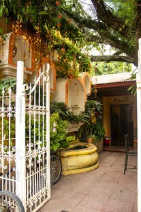 庭院铁艺门与绿植景观