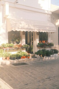 精致店铺外的花卉景观