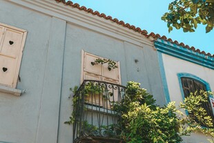 蓝墙绿植装点的清新建筑