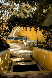 阳光洒落的庭院绿植小径