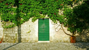 绿意环绕的古朴绿色门