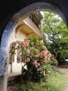 拱门后繁花簇拥的小屋