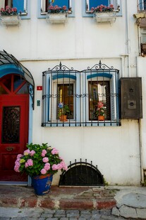 彩色门窗旁的鲜花景致